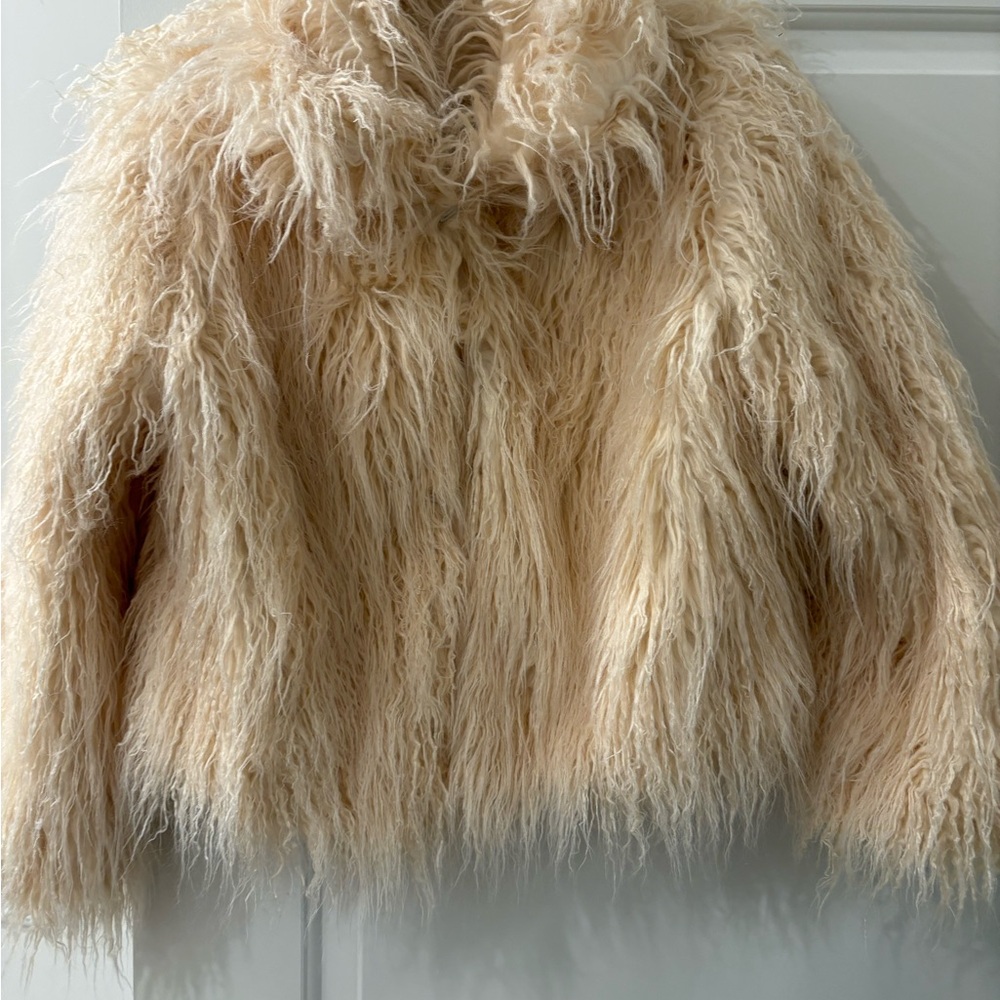 Chic Faux Fur Jacket